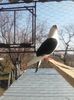 20160326_103735