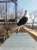 20160326_103733