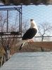 20160326_103709