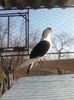 20160326_103708