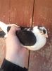 20160326_103314