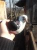 20160326_102755