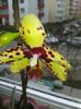 20160325_102208