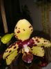 20160325_102222