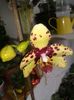 20160325_102235