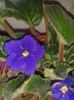 20160326_111456