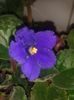 20160326_111502