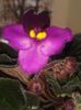 20160326_111602