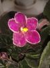 20160326_111646