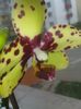 20160326_111700