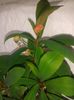 20160326_111754