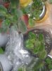 20160326_112042