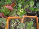 20160326_112123