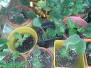 20160326_112130