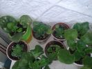 20160326_112150