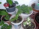 20160326_112207