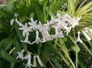 IMG_20160326_102330