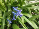 IMG_20160326_102548