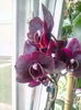 IMG_20160326_143250