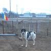 IMG_20160326_181457-1