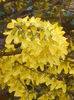 P3240231
