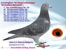 NL 07 2129111 F - Cuplul 16