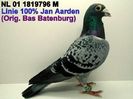 NL 01 1819796 M - Cuplul 17