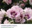 IMG_20160326_232819
