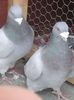 20160327_165314