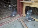 20160327_171049