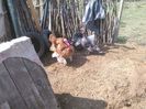 received_230549613966543