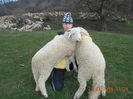 Picture 018