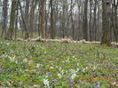 Picture 041