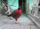 FB_IMG_1459117096378