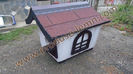 DSC00551