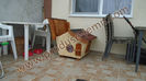 DSC00637