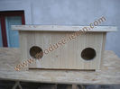 DSCN8822