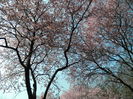 DSCN1824