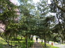 DSCN1826