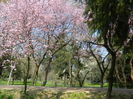 DSCN1828