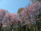 DSCN1829