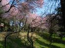 DSCN1831