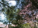 DSCN1833
