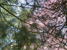 DSCN1834