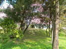 DSCN1839
