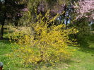 DSCN1840