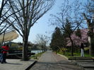DSCN1845