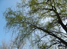 DSCN1864