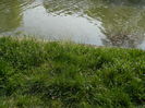 DSCN1866