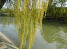 DSCN1867